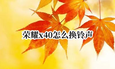 荣耀x40怎么换铃声 荣耀x40如何设置铃声