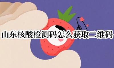 山东省核酸检测码 山东核酸检测码怎么获取二维码