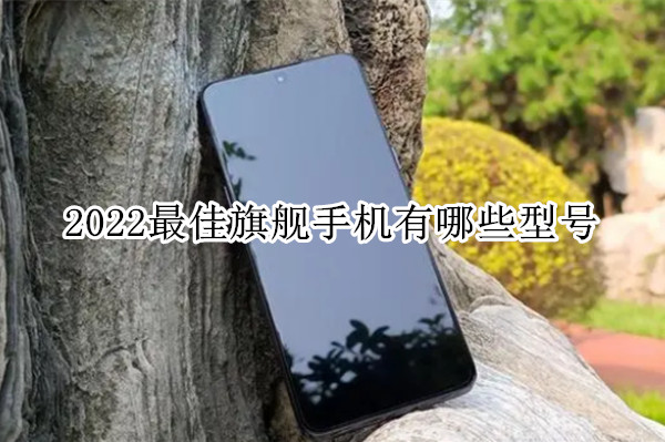 2022最佳旗舰手机有哪些型号
