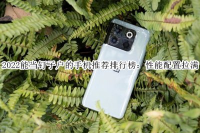 2022能当钉子户的手机推荐排行榜 钉子户手机都有哪几个