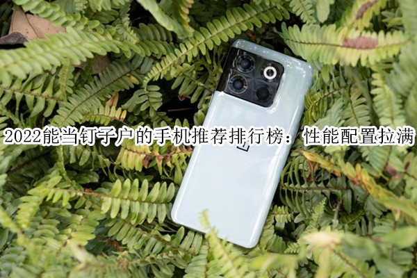 2022能当钉子户的手机推荐排行榜