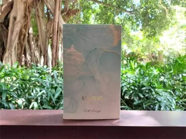 素诺可视洁牙仪T13 Pro评测