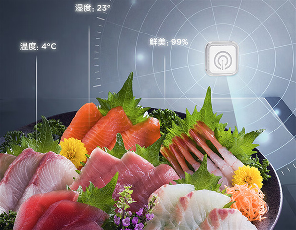 TCL格物冰箱Q10评测