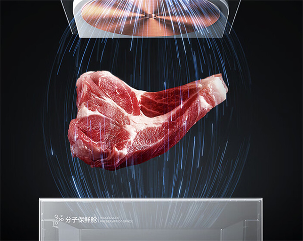 TCL格物冰箱Q10评测