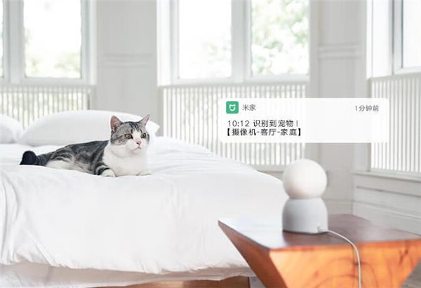 Xiaomi智能摄像机 2 AI 增强版评测