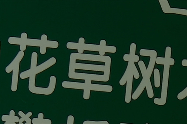 富士X-H2S评测