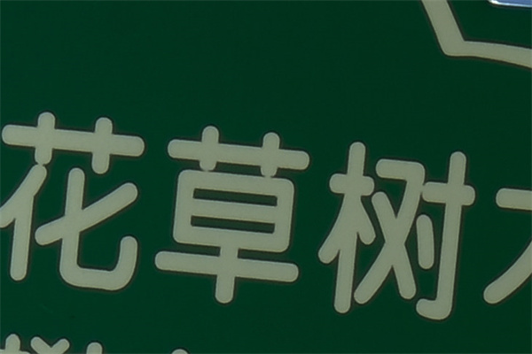 富士X-H2S评测