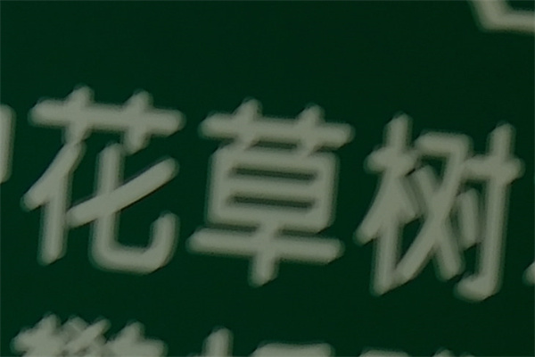 富士X-H2S评测