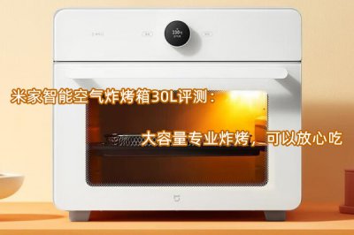 米家智能空气炸烤箱30L评测 怎么样