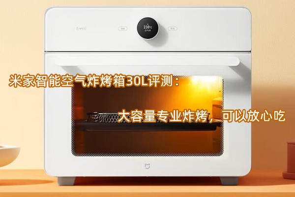 米家智能空气炸烤箱30L评测