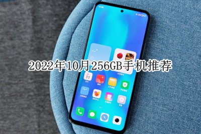 2022年10月256GB手机推荐 256g手机哪款性价比高