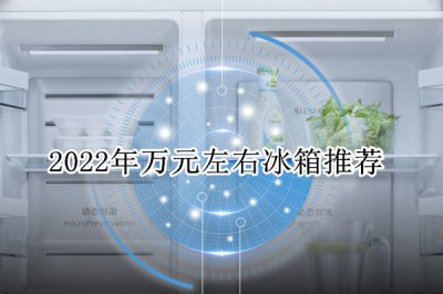 2022年万元左右冰箱推荐 一万元左右性价比高的冰箱