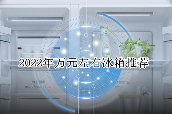2022年万元左右冰箱推荐