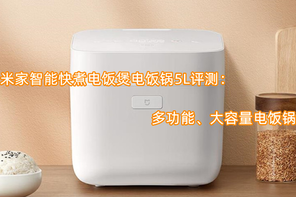 米家智能快煮电饭煲电饭锅5L评测
