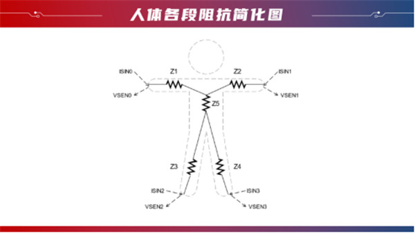 小米八电极体脂秤评测