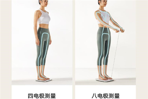 小米八电极体脂秤评测