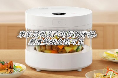 米家透明蒸汽电饭煲评测 米家透明蒸汽电饭煲怎么样