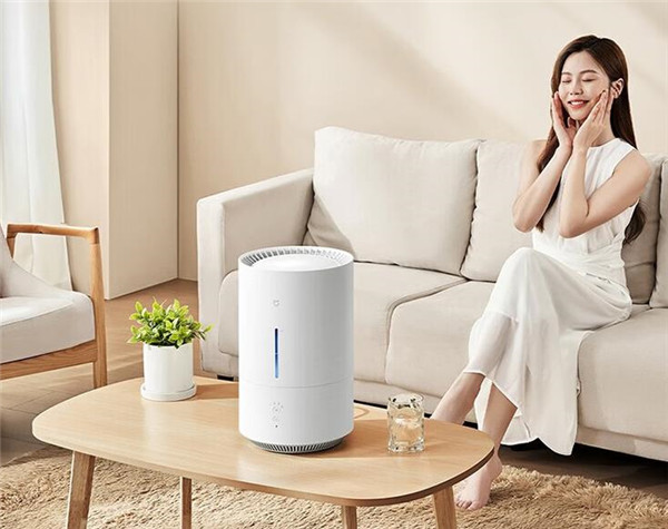 米家纯净式智能加湿器 2 Lite评测
