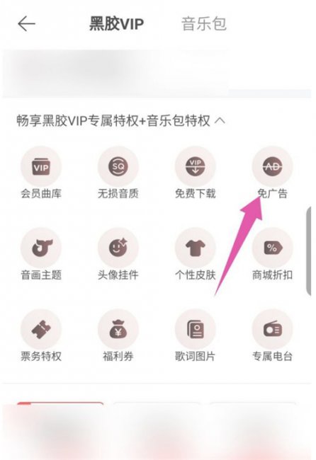 网易云音乐黑胶vip和音乐包区别