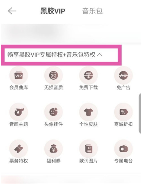 网易云音乐黑胶vip和音乐包区别