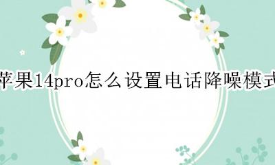 iphone14降噪怎么设置 苹果14pro怎么设置电话降噪模式