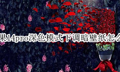 ios14壁纸变暗怎么解决 苹果14pro深色模式下调暗壁纸怎么调