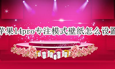 14pro可以设置动态壁纸吗 苹果14pro专注模式壁纸怎么设置