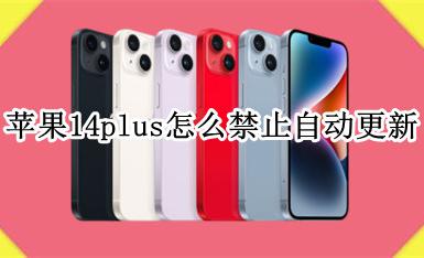 苹果14.14怎么屏蔽更新 苹果14plus怎么禁止自动更新