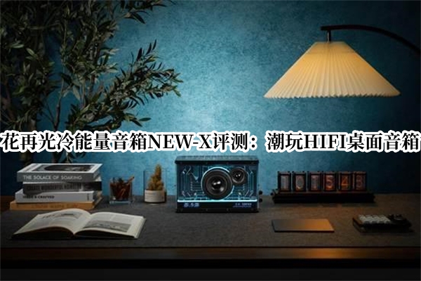 花再光冷能量音箱NEW-X评测