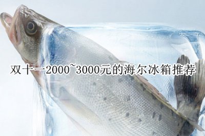 双十一2000~3000元的海尔冰箱推荐 海尔千元冰箱哪款好