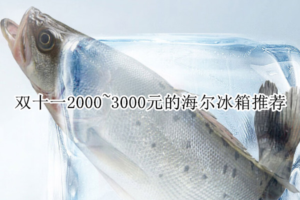 双十一2000~3000元的海尔冰箱推荐