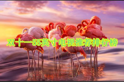 双十一55英寸电视推荐排行榜 55英寸电视机哪个品牌好