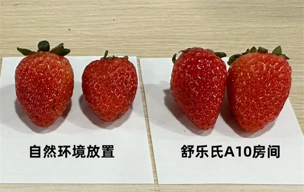 双十一四大空净一周对比横评