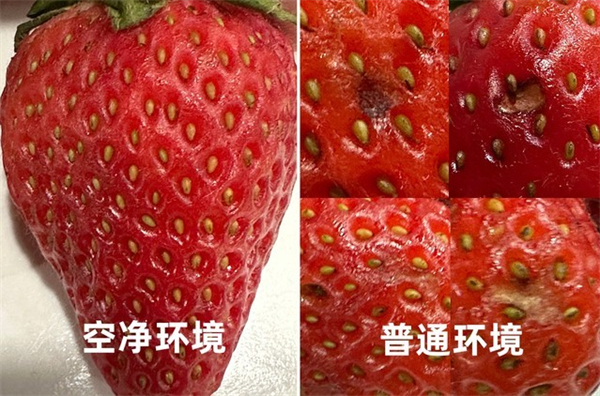 双十一四大空净一周对比横评