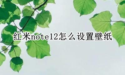 红米note12怎么设置壁纸 红米note12如何设置壁纸