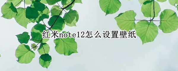 红米note12怎么设置壁纸