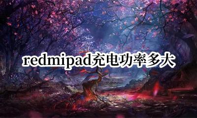 redmipad充电功率多大 redmibook14充电功率