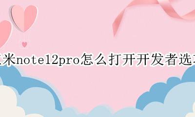 红米note12开发者选项怎么打开 红米note12pro怎么打开开发者选项