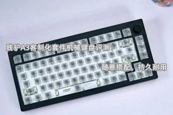 贱驴A3客制化套件机械键盘评测