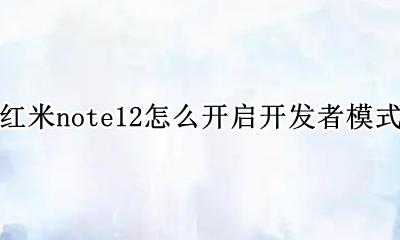 红米note12怎么开启开发者模式 红米note12如何开启开发者模式
