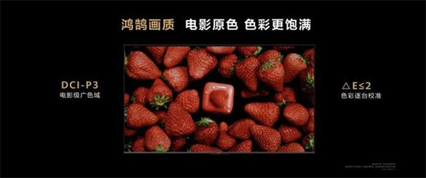 双十一电视对比推荐