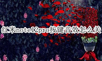 红米note12pro按键音效怎么关 红米note12pro按键音怎么设置