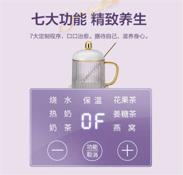 生活元素Mini分离式养生杯评测