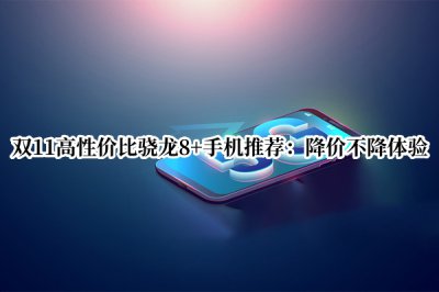 双11高性价比骁龙8+手机推荐 双11性价比最高的骁龙8手机