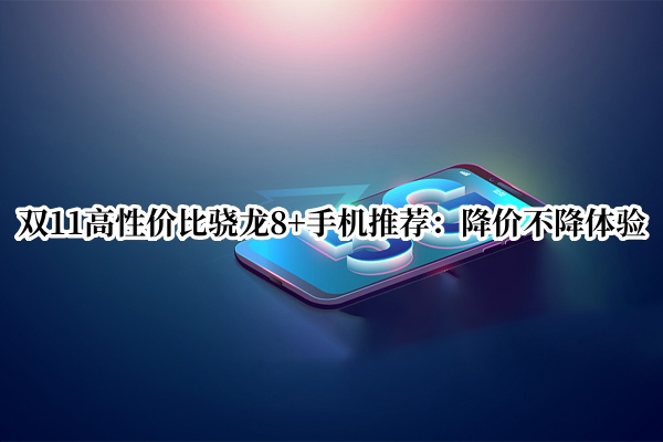 双11高性价比骁龙8+手机推荐