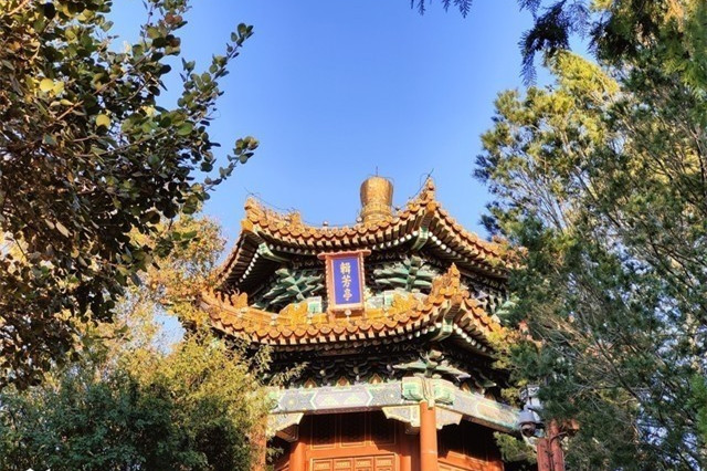 OPPO Find N影像评测