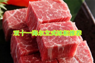 双十一海尔立式冰柜推荐 海尔立式冰柜哪个型号好