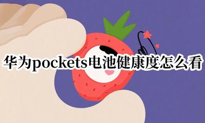 华为pockets电池健康度怎么看 华为pockets怎么看电池健康度