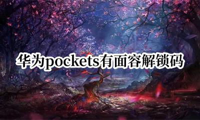 华为pockets有面容解锁码 华为pockets支持人脸解锁码
