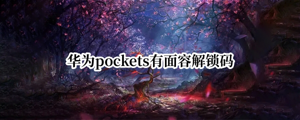 华为pockets有面容解锁码